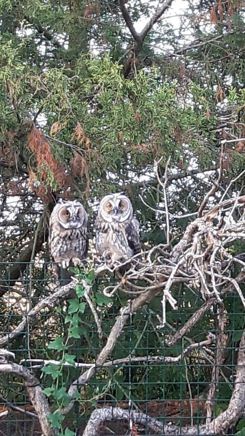 Le Marais Chevalier Villa Bouin  Dış mekan fotoğraf