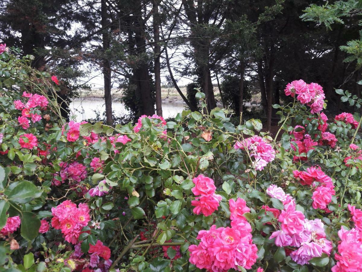 Le Marais Chevalier Villa Bouin  Dış mekan fotoğraf